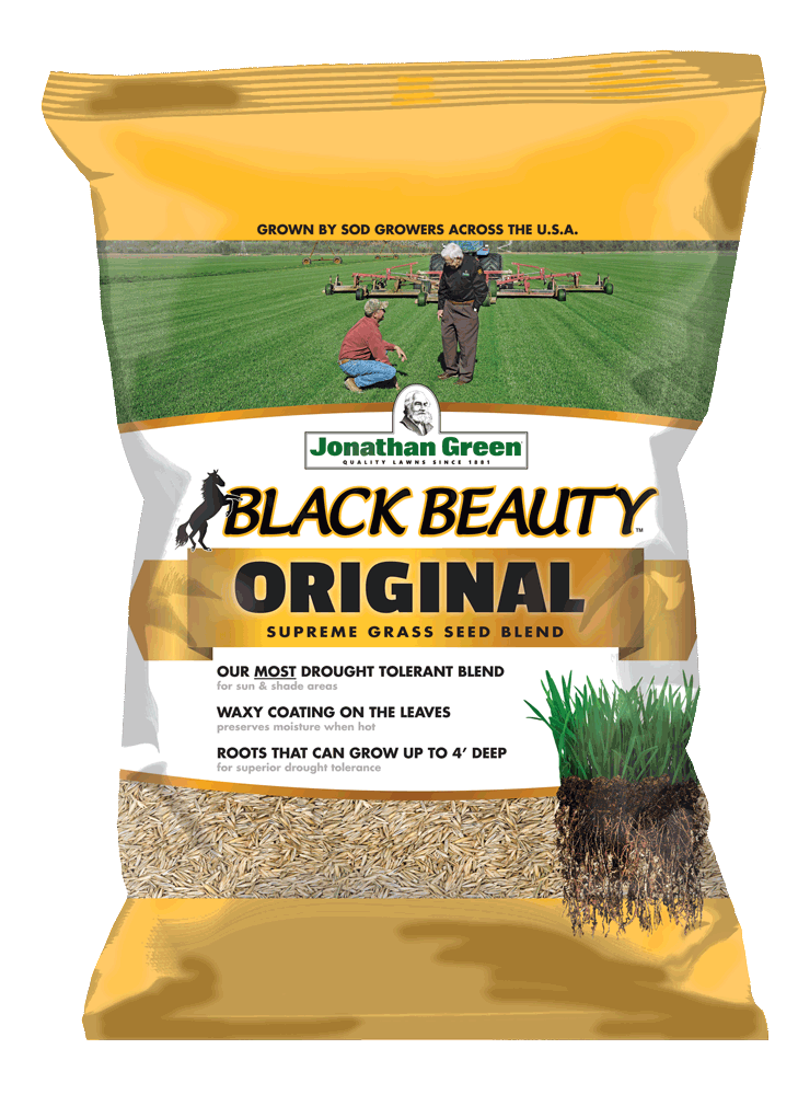 Bag of Black Beauty® Original Grass Seed blend with plant imagery and product information.
