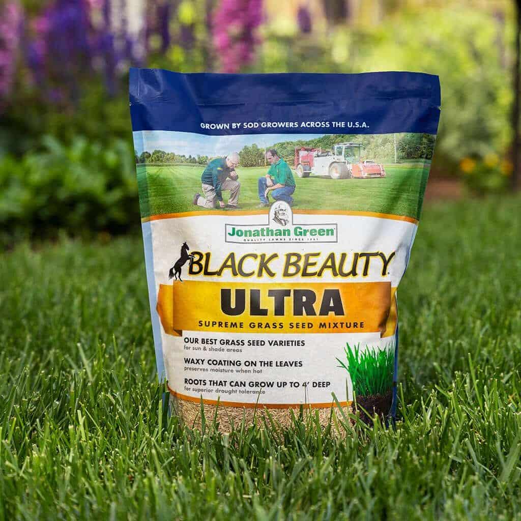 Our Most Popular Grass Seed