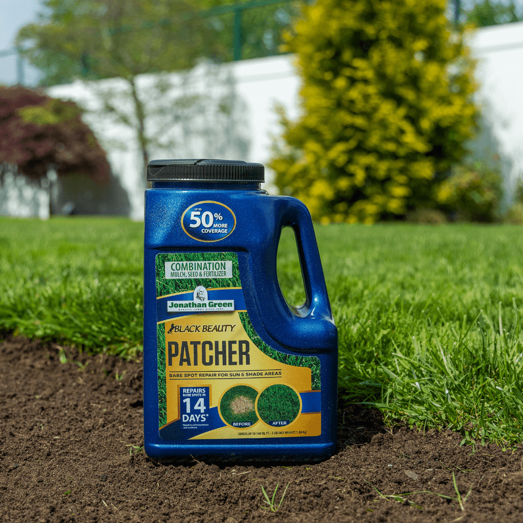 Blends in with Most Cool-Season Lawns