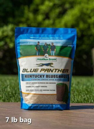 Grass_seed_bag_Black_Beauty_Blue_Panther_Kentucky_Bluegrass_Grass_Seed_product_bag