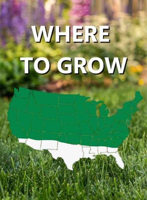 Map_of_USA_Where_to_grow_Contractors_grass_seed_mixture