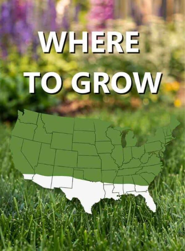 Guide to gardening zones across the United States featuring Fast Grow Grass Seed.