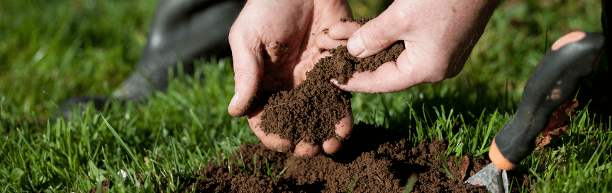collecting_soil_sample_in_lawn