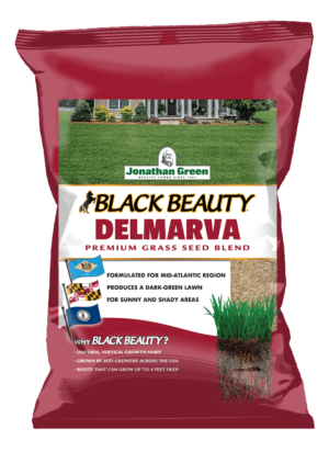 Front_of_Black_Beauty_Delmarva_Grass_Seed_Bag