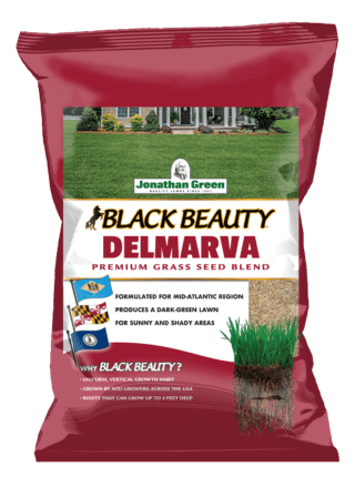 Front_of_Black_Beauty_Delmarva_Grass_Seed_Bag