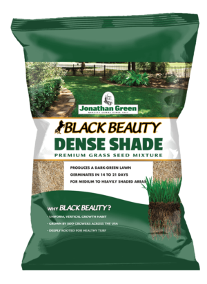 Black_Beauty_Dense_Shade_Grass_Seed_Bag