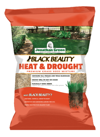 Heat_and_Drought_Grass_Seed_Mixture_Bag_Front_of_Black_Beauty_Heat_and_Drought_Grass_Seed_Bag