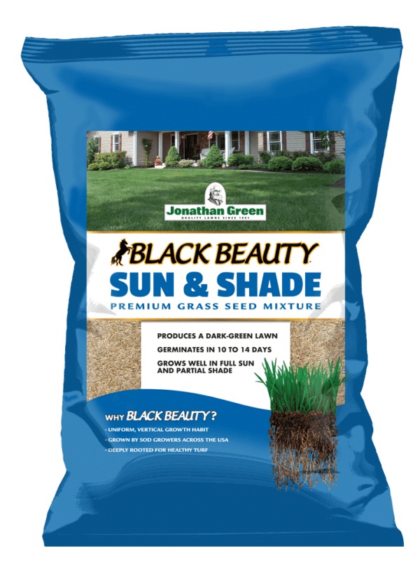 Front_of_Black_Beauty_Sun_and_Shade_Bag