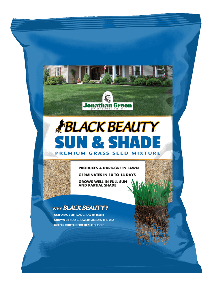 7 Lb Jonathan Green 10880 Black Beauty Full Sun Grass Seed Mixture 