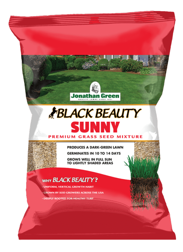 Black_Beauty_Sunny_Grass_Seed_Front_of_Bag