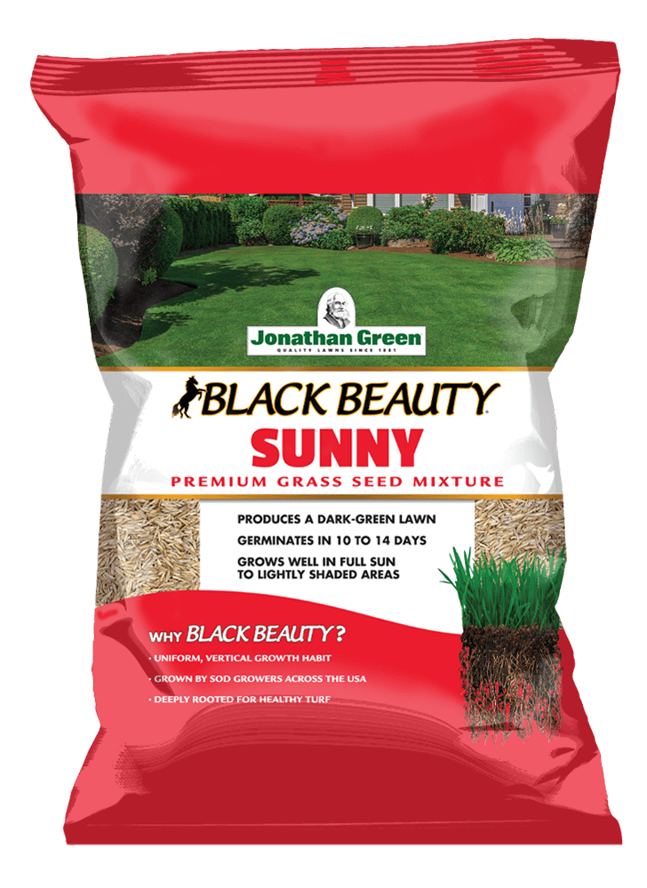 Black_Beauty_Sunny_Grass_Seed_Front_of_Bag