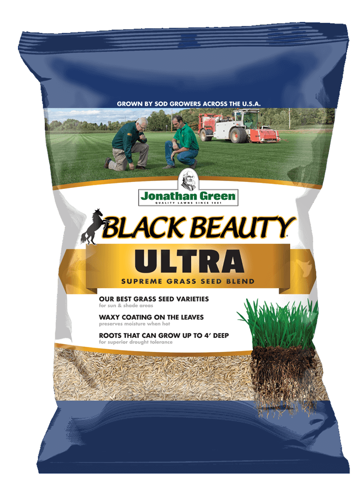 Jonathan Green Black Beauty Ultra Grass Seed Lupon Gov Ph