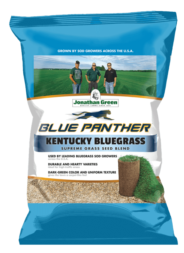 Blue_Panther_Grass_Seed_Front_of_Bag