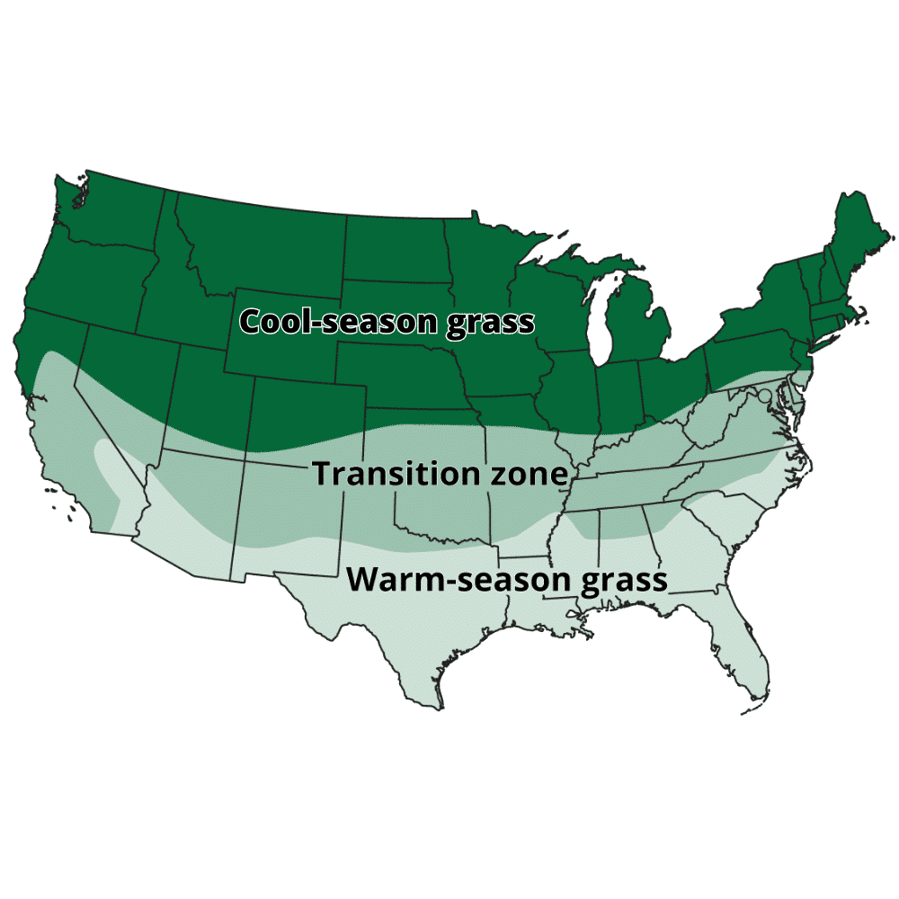 Thrives in the Transition Zone