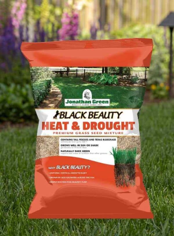 A bag of Black Beauty® Heat and Drought Resistant Grass Seed placed on a lawn.