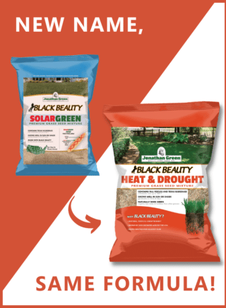 New_product_name_change_photo_Heat_and_Drought_Grass_Seed_New_Look