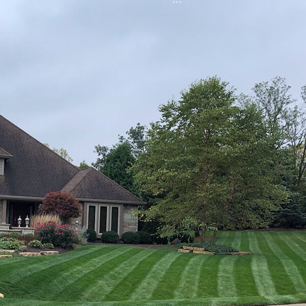 Fall Lawn Care Bundle l Jonathan Green