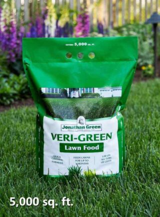 Lawn_fertilizer_bag_in_grass_bag_of_Veri_Green_Lawn_Fertilizer