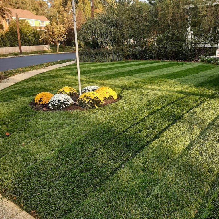 Lawn Starter Kit l Jonathan Green