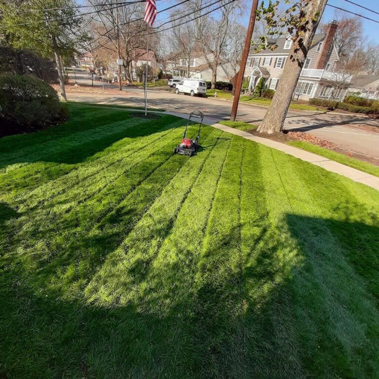 Jonathan Green Black Beauty® Ultra Grass Seed