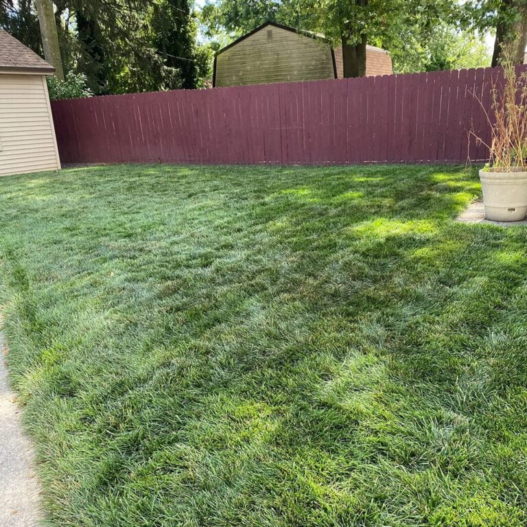 Fast Grow Grass Seed Quick Growing Grass Seed Jonathan Green