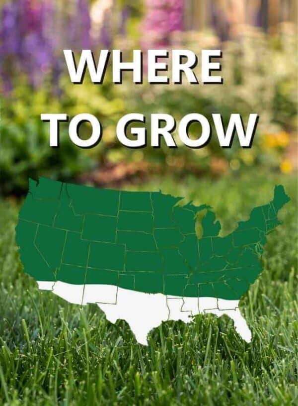 Map_of_USA_Where_to_grow_Pasture_mixture