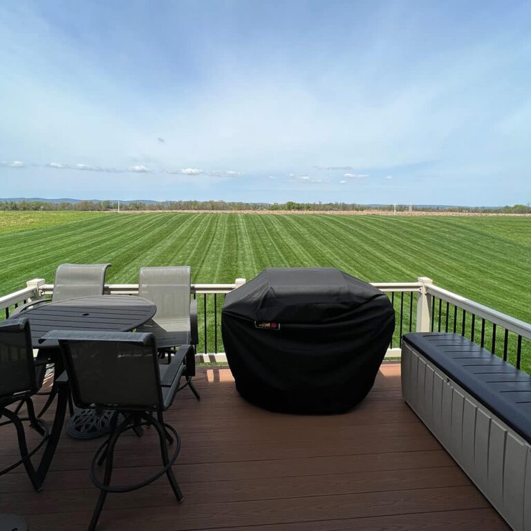 Blue Panther® Kentucky Bluegrass Grass Seed Jonathan Green