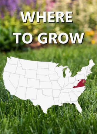 Map_of_USA_Where_to_grow_Black_beauty_delmarva_grass_seed