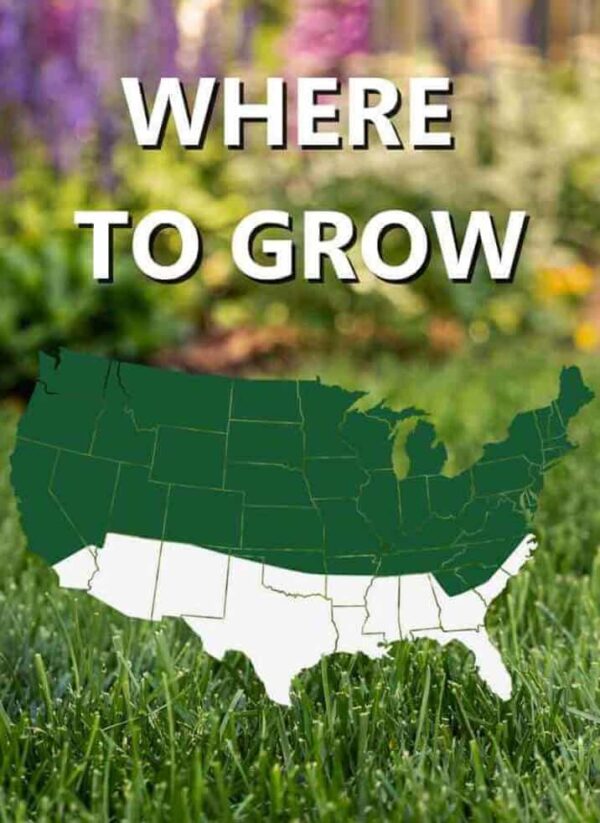 Silhouette of the USA map on a grassy background with 'Grass Seed & Fertilizer Bundle for Shady Lawns' text above, implying a guide to planting in different regions.