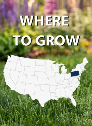 Map_of_USA_Where_to_grow_Black_Beauty_Keystone_grass_seed