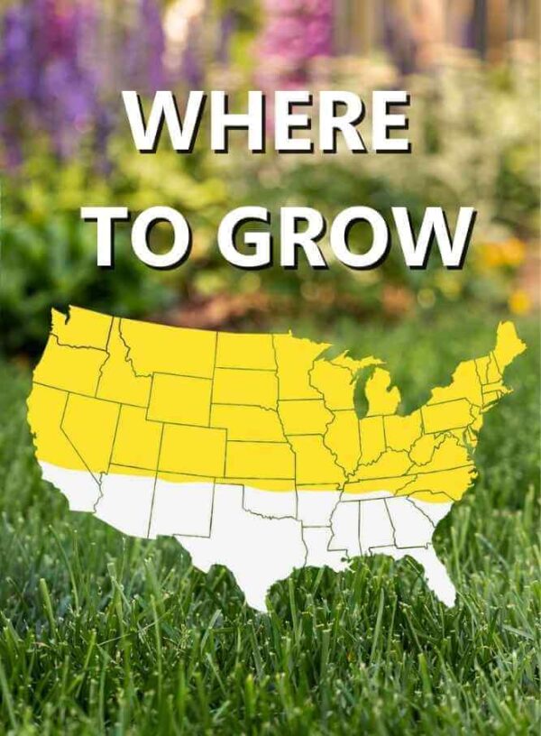 Map_of_USA_Where_to_grow_Wildflower_and_Meadow_Grass_Mix