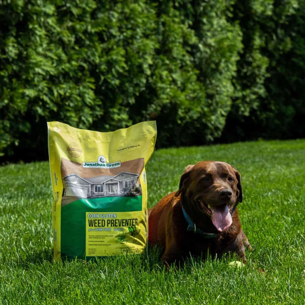 Dog-lawn-Corn-Gluten-Weed-Preventer-Bag