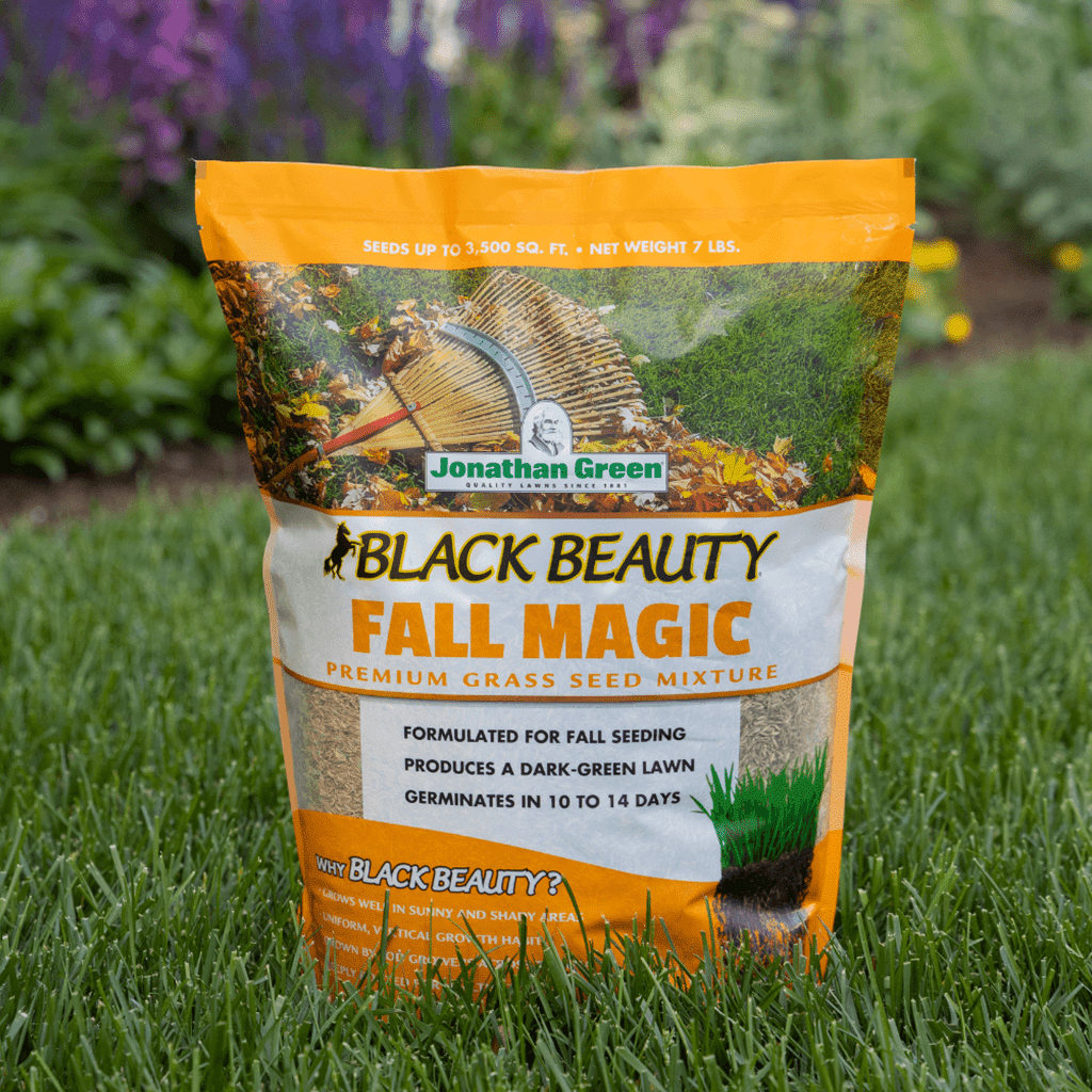 Turfgrass Specially Formulated for Fall Seeding