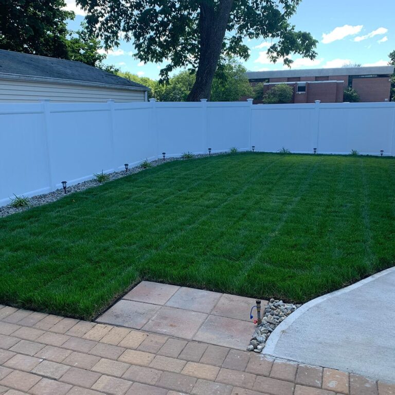 Blue Panther® Kentucky Bluegrass Grass Seed Jonathan Green