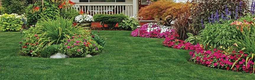 Grass Seed for Pennsylvania Lawns