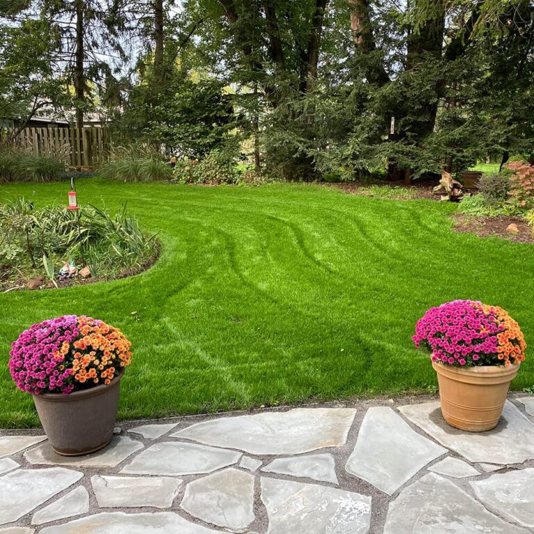 Black Beauty® Shady Nooks Grass Seed l Jonathan Green